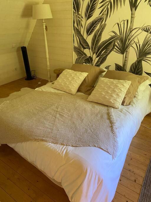 Appartement En Campagne