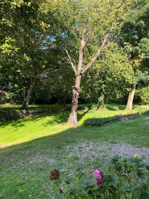 En Campagne * Berville-sur-Mer